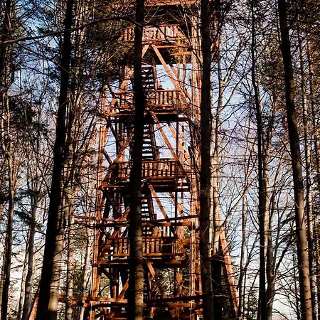 Gasthof Drewniany Dom Buczynowy Natura, Relaks, Las, Beskid Niski, Gory