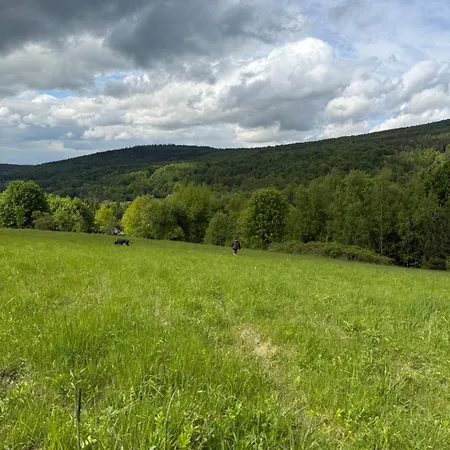 Drewniany Dom Buczynowy Natura, Relaks, Las, Beskid Niski, Gory Gasthof